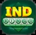 Ind Bingo icon