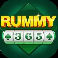 Rummy 365 icon