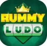 Rummy Ludo icon