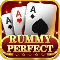 rummy perfact icon